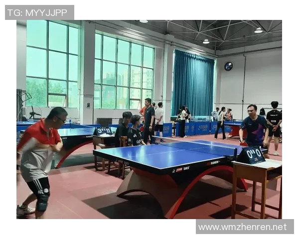 从零基础到高手之路乒乓球配合技巧全解析与实战经验分享 从零基础到高手之路乒乓球配合技巧全解析与实战经验分享