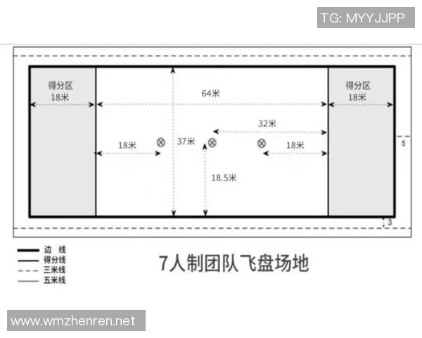 运动飞盘新手必看入门指南轻松掌握节奏与技巧提升竞技水平 运动飞盘新手必看入门指南轻松掌握节奏与技巧提升竞技水平