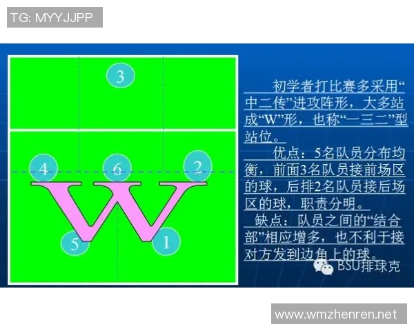 从零开始排球状态完全攻略助你轻松掌握排球技巧与战术提升游戏体验 从零开始排球状态完全攻略助你轻松掌握排球技巧与战术提升游戏体验