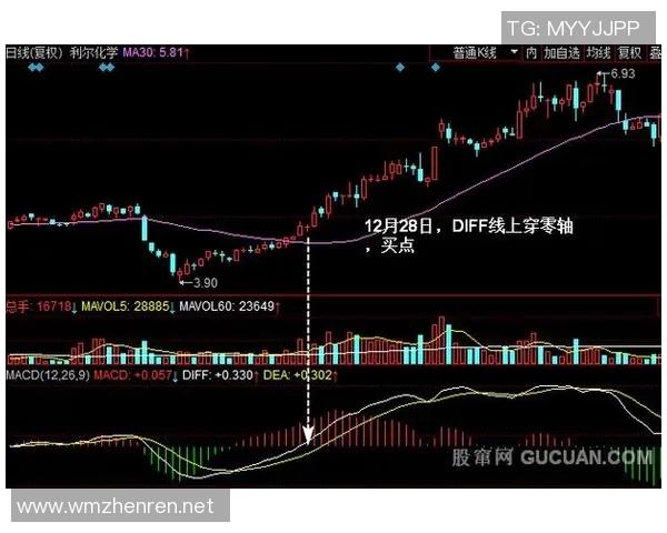 运动最新数据深入分析杭州网球队中路突破战术的独特魅力与实战应用 运动最新数据深入分析杭州网球队中路突破战术的独特魅力与实战应用