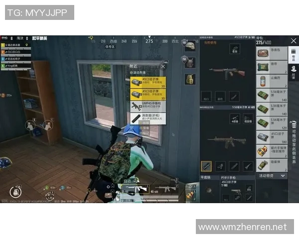 2026年3月份新闻和平精英新手必看提升心理素质的实用技巧与策略指南